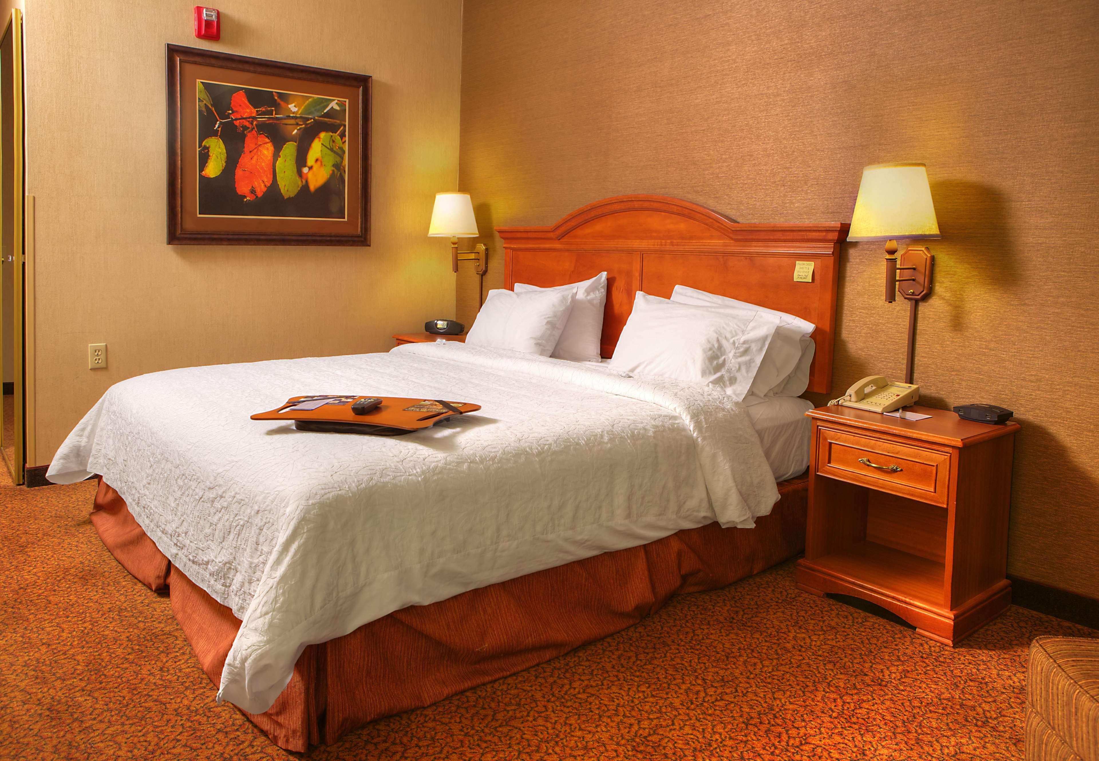 Comfort Inn & Suites Rapid City Near Mt Rushmore Bagian luar foto